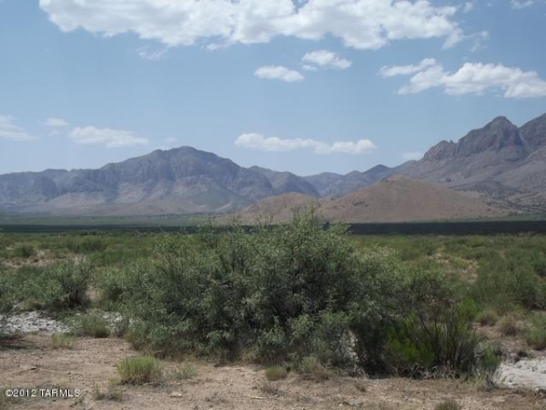 388 W Mesquite, Willcox, AZ 85643 