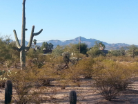 4750 W Linda Vista #., Tucson, AZ 85742 