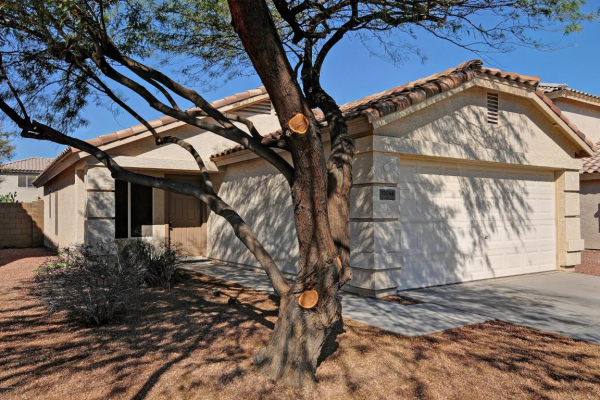 12046 W FLORES Drive, El Mirage, AZ 85335 