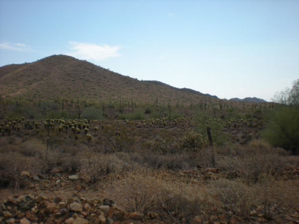 39916 N 12th Street, Phoenix, AZ 85086 