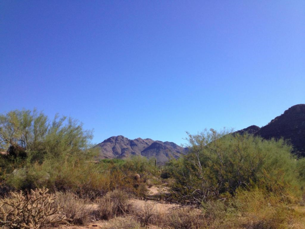 22425 N 97th Street, Scottsdale, AZ 85255 