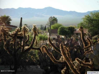 612 Avenida Cipres, Green Valley, AZ 85614 