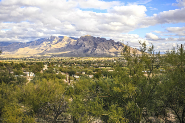 9893 N Rabwa, Tucson, AZ 85742 