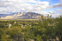 9893 N Rabwa, Tucson, AZ 85742 