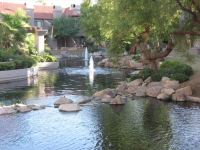 1012 10015 E MOUNTAIN VIEW Road, Scottsdale, AZ 85258 