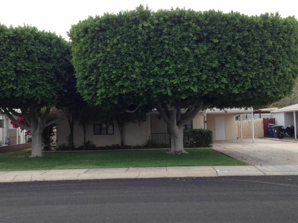 Pecan Grove 410 S 23 AVE, Yuma, AZ 85364 