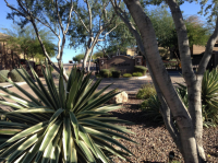 13002 N NORTHSTAR Drive, Fountain Hills, AZ 85268 