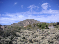 41764 N 113TH Way, Scottsdale, AZ 85262 