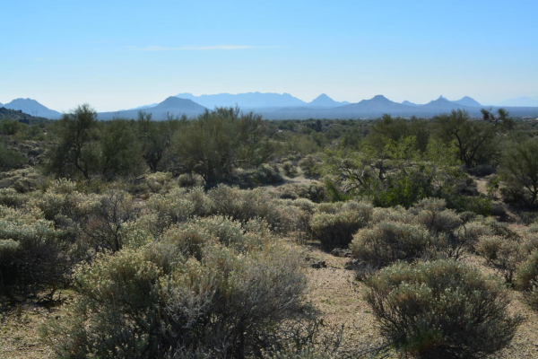 40xxx N 115 Street, Scottsdale, AZ 85262 