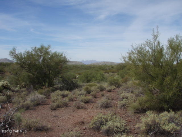 47345 E Rain Water S #1, Tucson, AZ 85739 