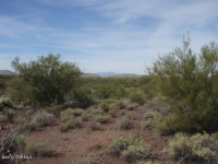 47345 E Rain Water S #1, Tucson, AZ 85739 