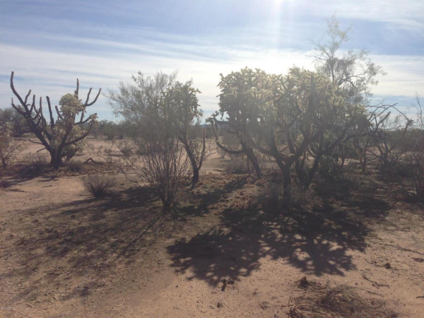 0 N Willy Road, Florence, AZ 85132 