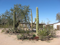 10760 W Rudasill #1, Tucson, AZ 85743 