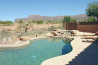 7166 E CALLIANDRA Court, Gold Canyon, AZ 85118 