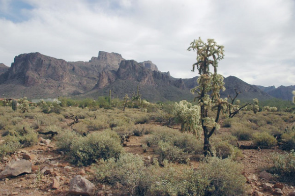 0 N LA BARGE Road, Apache Junction, AZ 85118 