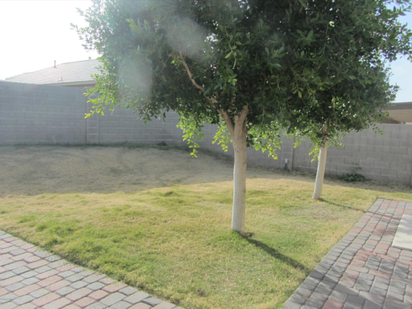 819 W ALLEN Street, Phoenix, AZ 85041 