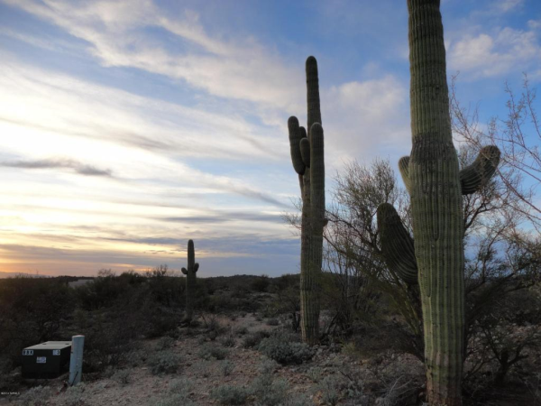 15795 E Colt Creek #103D, Vail, AZ 85641 