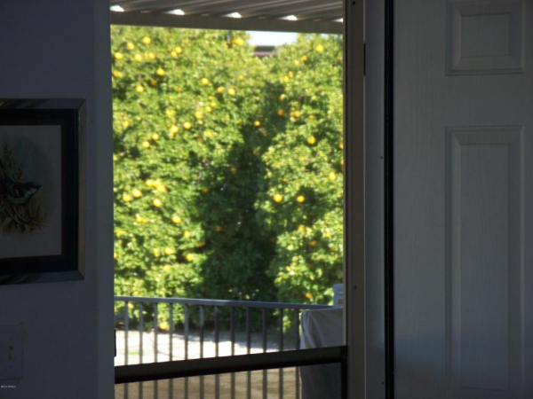 21647 W NARRAMORE Road, Buckeye, AZ 85326 