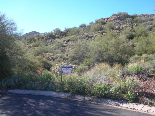 15010 N SANTIAGO Place, Fountain Hills, AZ 85268 