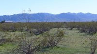 287XX N 213th Avenue, Wittmann, AZ 85361 