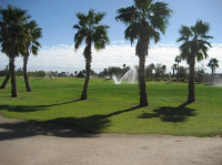 28291 CANAL AVE, Wellton, AZ 85356 