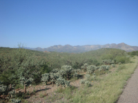 101 CAMINO OLYMPIA, Rio Rico, AZ 85648 