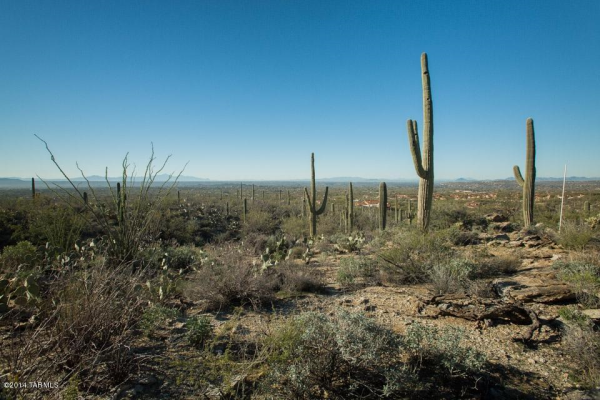 5400 N Avenida De La Colina, Tucson, AZ 85749 