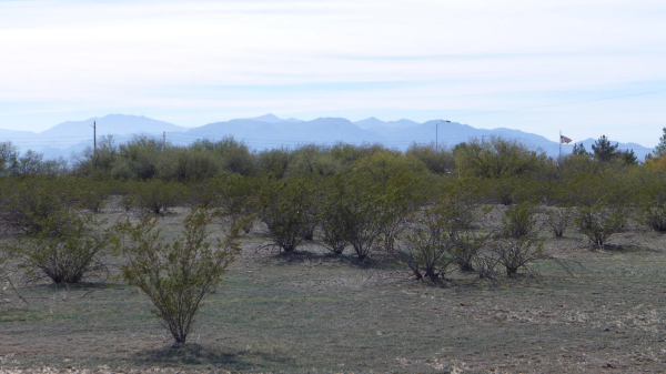 175XX W Dale Lane, Surprise, AZ 85387 