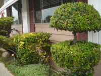 11730 E Whittier Blvd., Whittier, CA 90601 