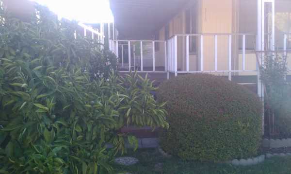 2151 Oakland Road #316, San Jose, CA 95131 