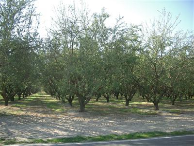 14240 El Capitan Way, Delhi, CA 95315 