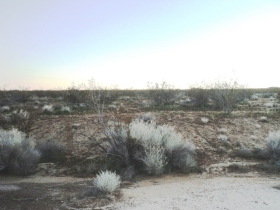 LOT 135, CALIFORNIA CITY, CA 93504 Foreclosure