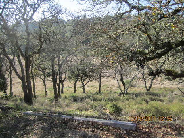 344 Oak Ave, Novato, CA 94945 