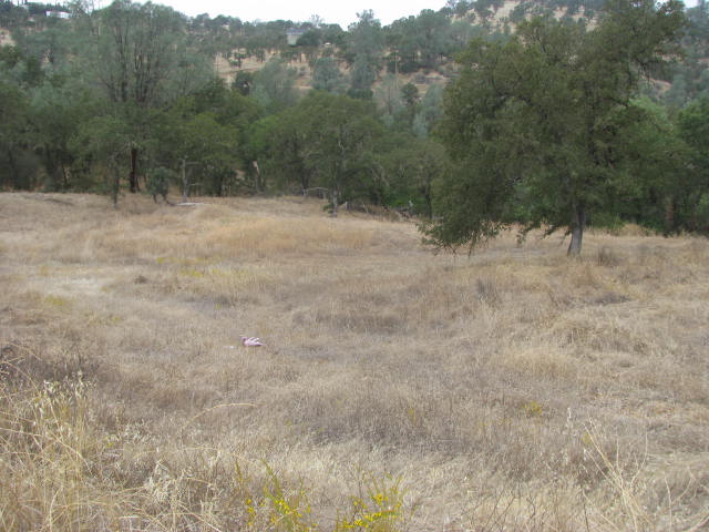 3301 Maravilla Dr, Coulterville, CA 95311 Foreclosure