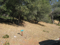 Apn 090-410-08 Sean Patr, Groveland, CA 95321 