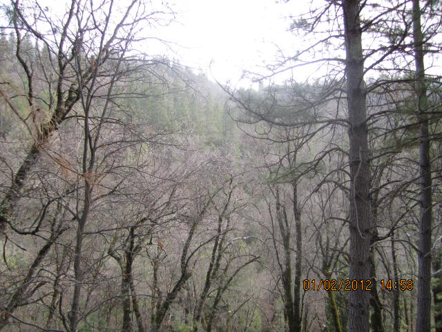 16385 Clover Valley Rd, Grass Valley, CA 95949 