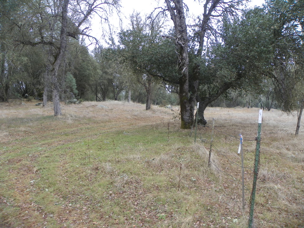 Apn: 017-390-008-0, Mariposa, CA 95338 