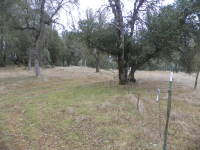 Apn: 017-390-008-0, Mariposa, CA 95338 
