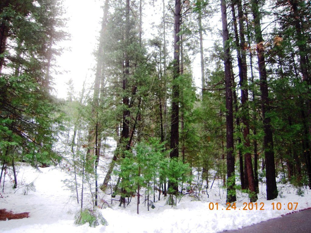 Apn098 560-010 Phillips Rd, Oak Run, CA 96069 