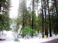 Apn098 560-010 Phillips Rd, Oak Run, CA 96069 