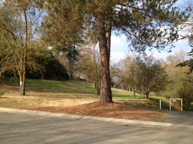Apn# 064-034-017 Oakhurst, Oakdale, CA 95361 