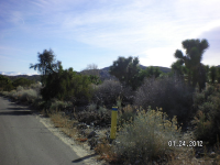 306554 Apn, Pinon Hills, CA 92372 