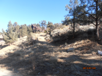 1220 Liesure Ln, Pinion Pines, CA 93225 