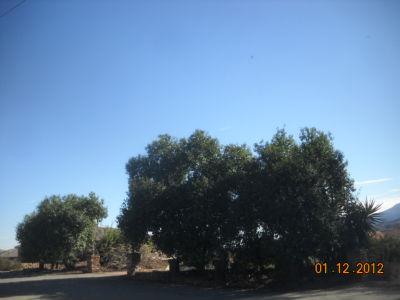 1776 Bobbitt Avenue, Corona, CA 92881 