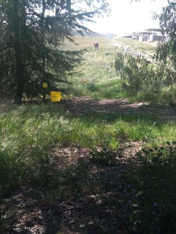 18 Rolling Hills Way, Creston, CA 93432 