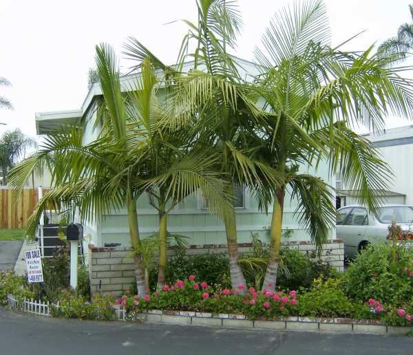 1517 N. NEWHOPE, Santa Ana, CA 92703 