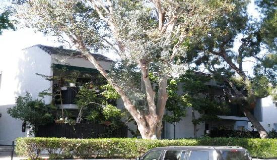 18645 Hatteras St Unit 133, Tarzana, CA 91356 