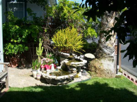 600 E. Weddell #284, Sunnyvale, CA 94089 