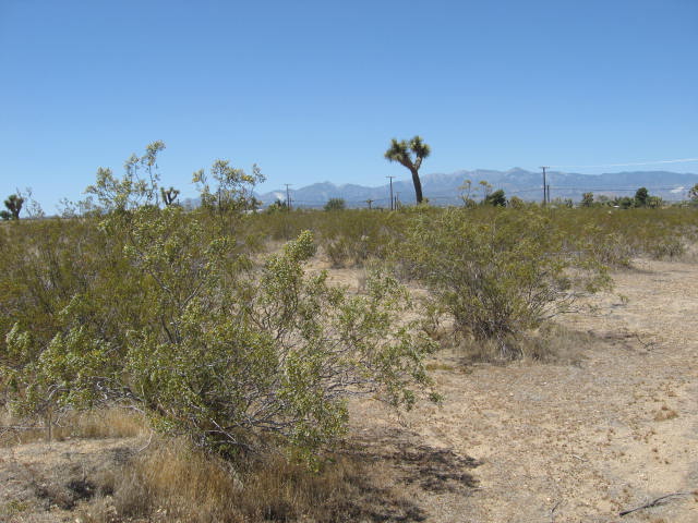 Apn 3071-381-01, Victorville, CA 92392 