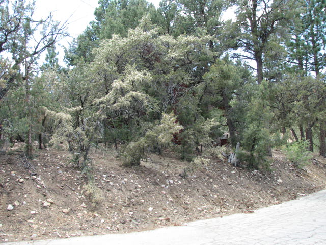 Xx 3125302, Big Bear City, CA 92314 